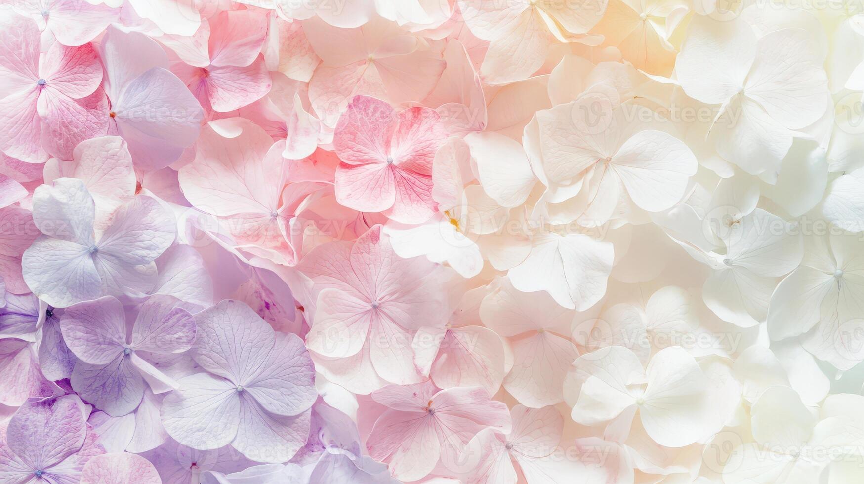 Pastel hydrangea petals scattered beautifully photo