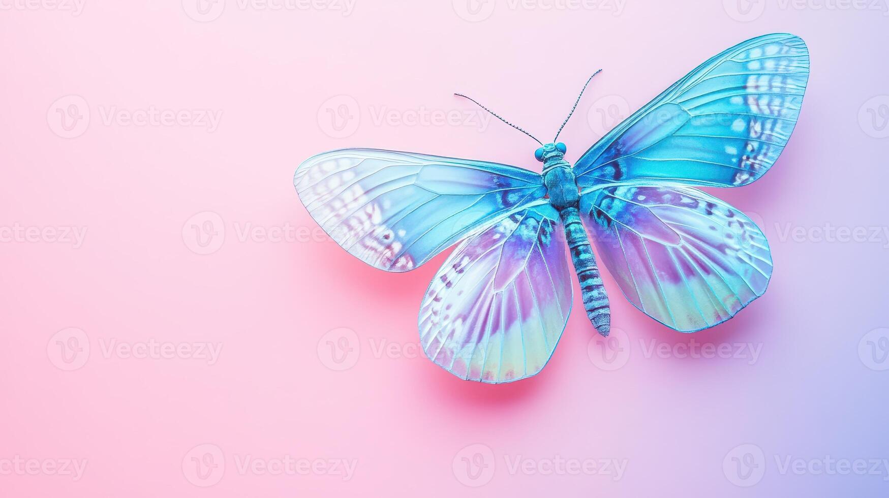 Colorful butterfly resting on a pastel background photo