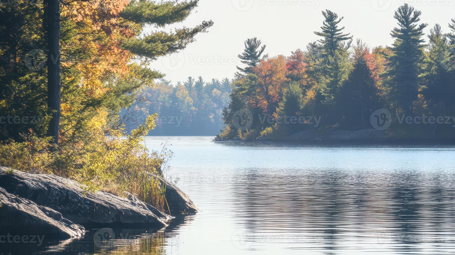 Tranquil lakeside view in autumn foliage photo
