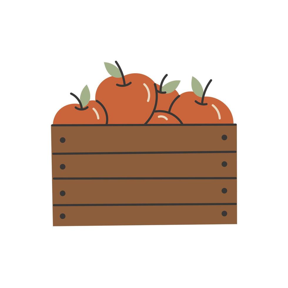 Box of red Apples vector