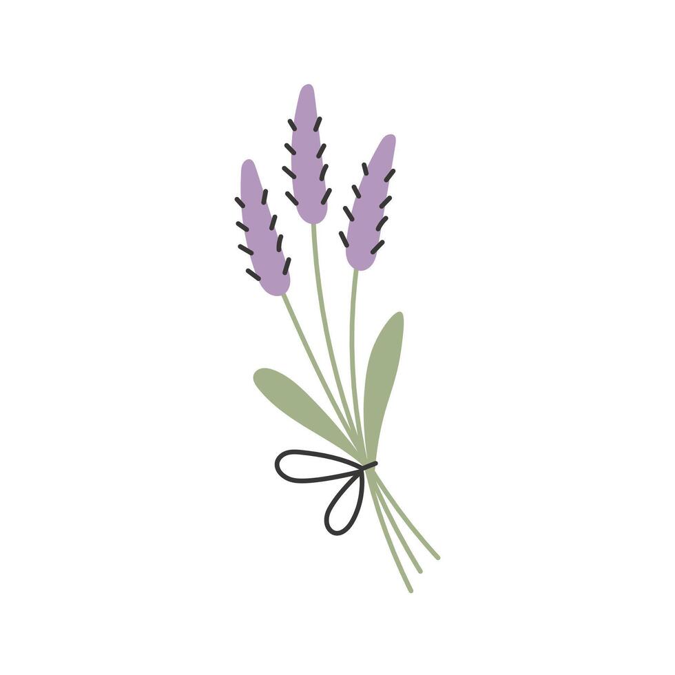 Lavender Flower Bunch vector