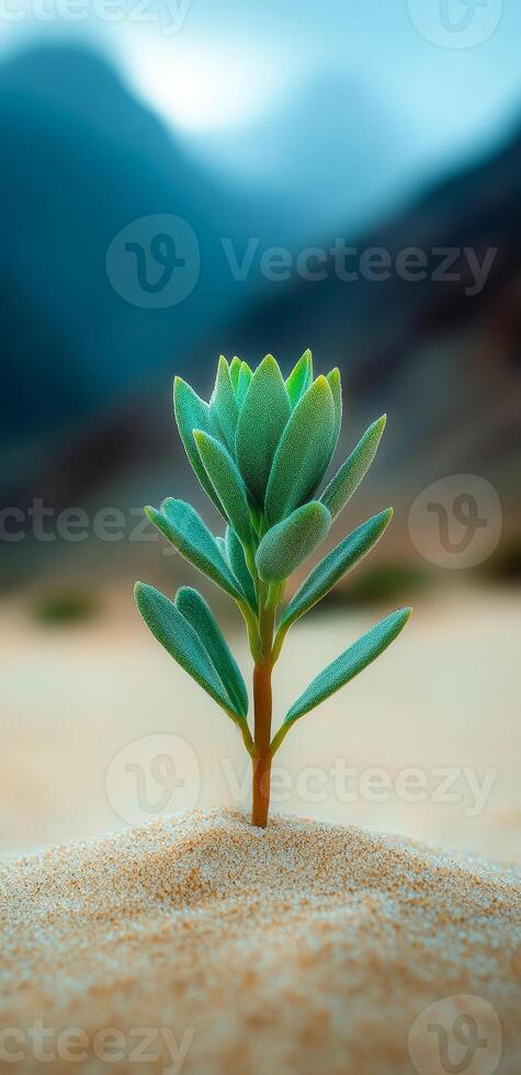 Plant thriving in desert sun. A young green plant grows steadily among dry sand in a desert landscape, showcasing resilience against harsh conditions. photo