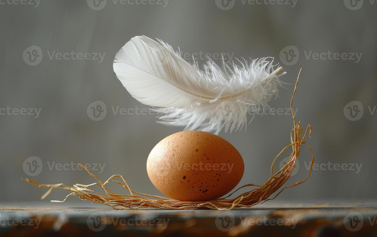 Egg rests on nature's warmth. A delicate arrangement features a speckled egg on a nest of straw with a white feather gracefully suspended above. photo