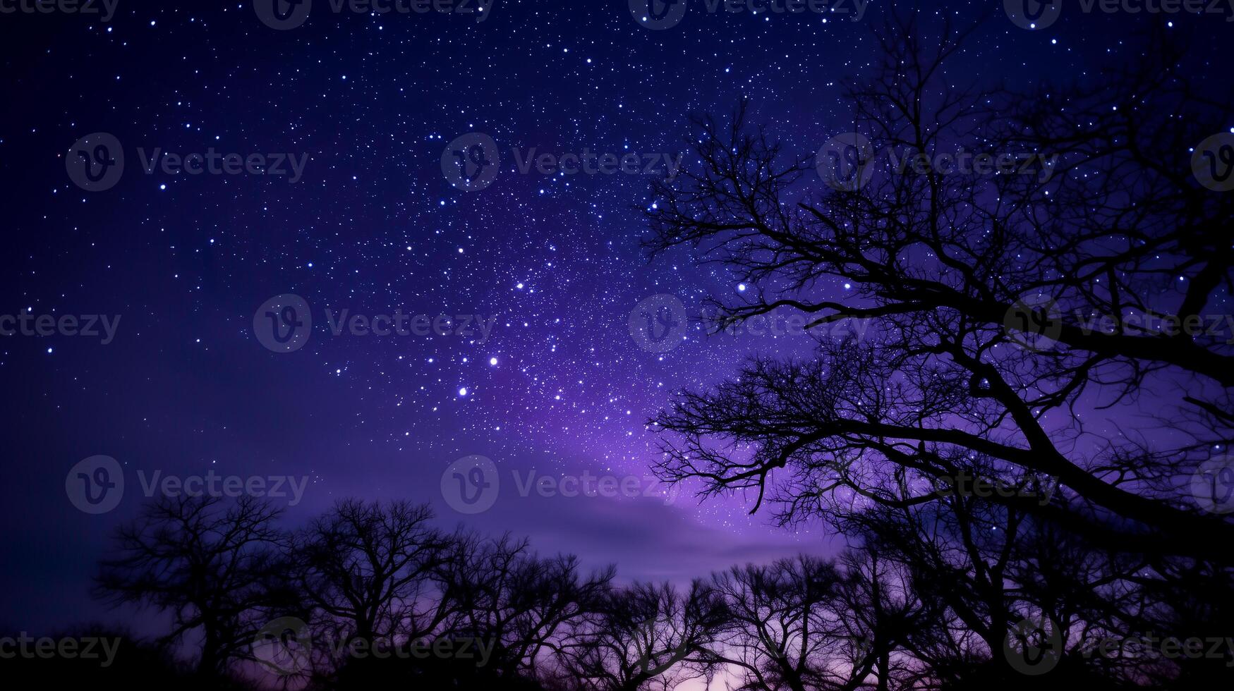 Starry purple night sky above silhouetted forest trees photo