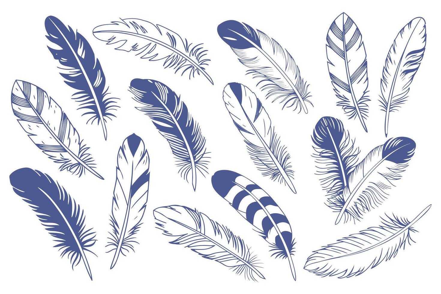 Feathers set. Collection of intricate hand drawn blue bird feathers. Illustration. vector
