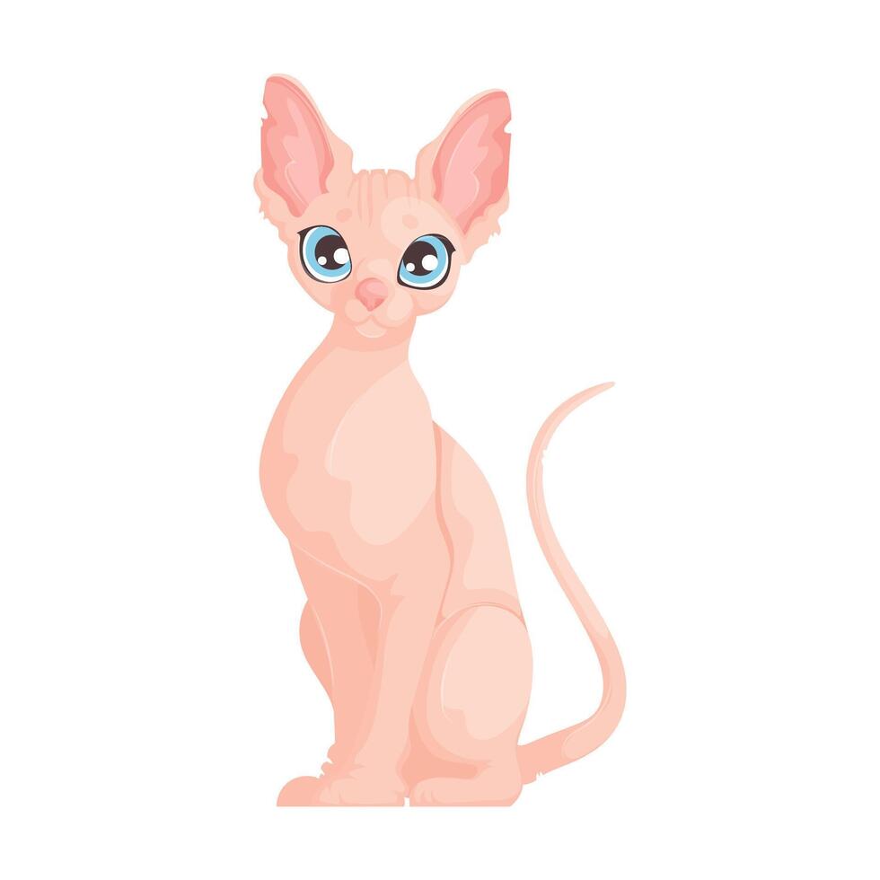 illustration of a cute hairless Sphynx cat with big blue eyes, sitting upright on a white background. vector