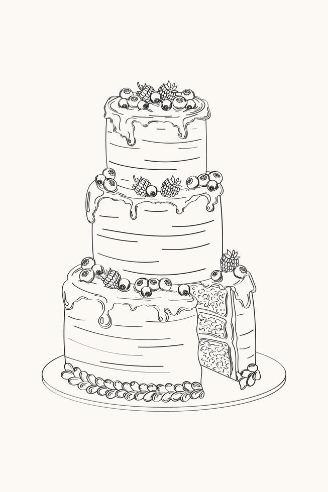 Elegant three tier cake with berries. Hand-drawn illustration in the style of pencil sketch .Sketch congratulations, poster, invitation in retro style.Line art vector