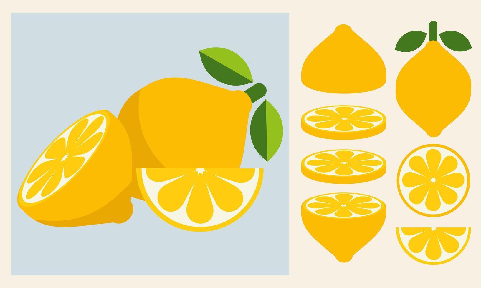 Lemon slices. Fresh citrus, half sliced lemons and chopped lemon. Cut lemons fruit slice. Isolated cartoon illustration icons set vector