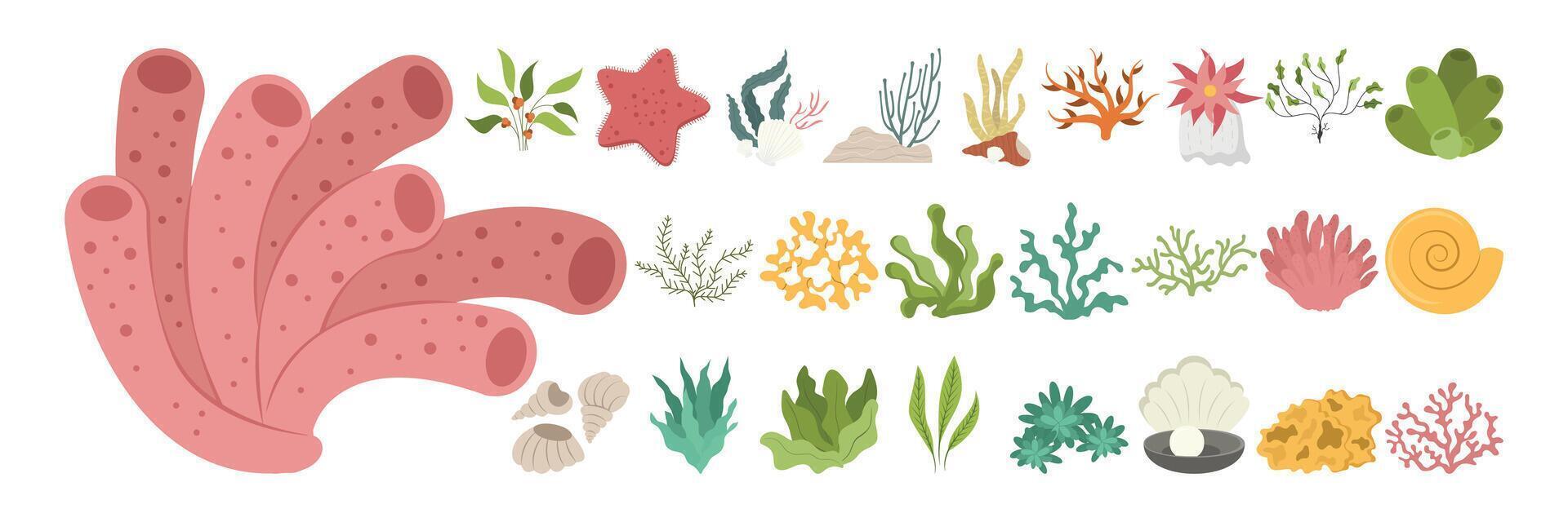 Colorful underwater plants, corals, shells, and sea life elements vector
