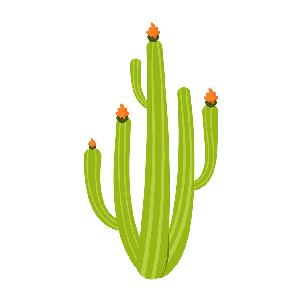 Simple cartoon cactus and succulent plants with flowers and smooth shape. Flat Illustration vector