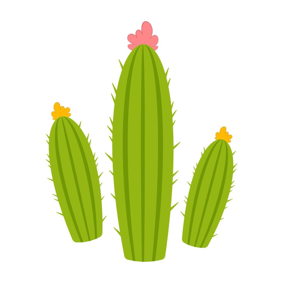 Minimal cactus illustration with tall shapes and blooming flowers. vector
