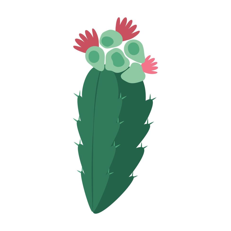 Simple cartoon cactus and succulent plants with flowers and smooth shapes. vector