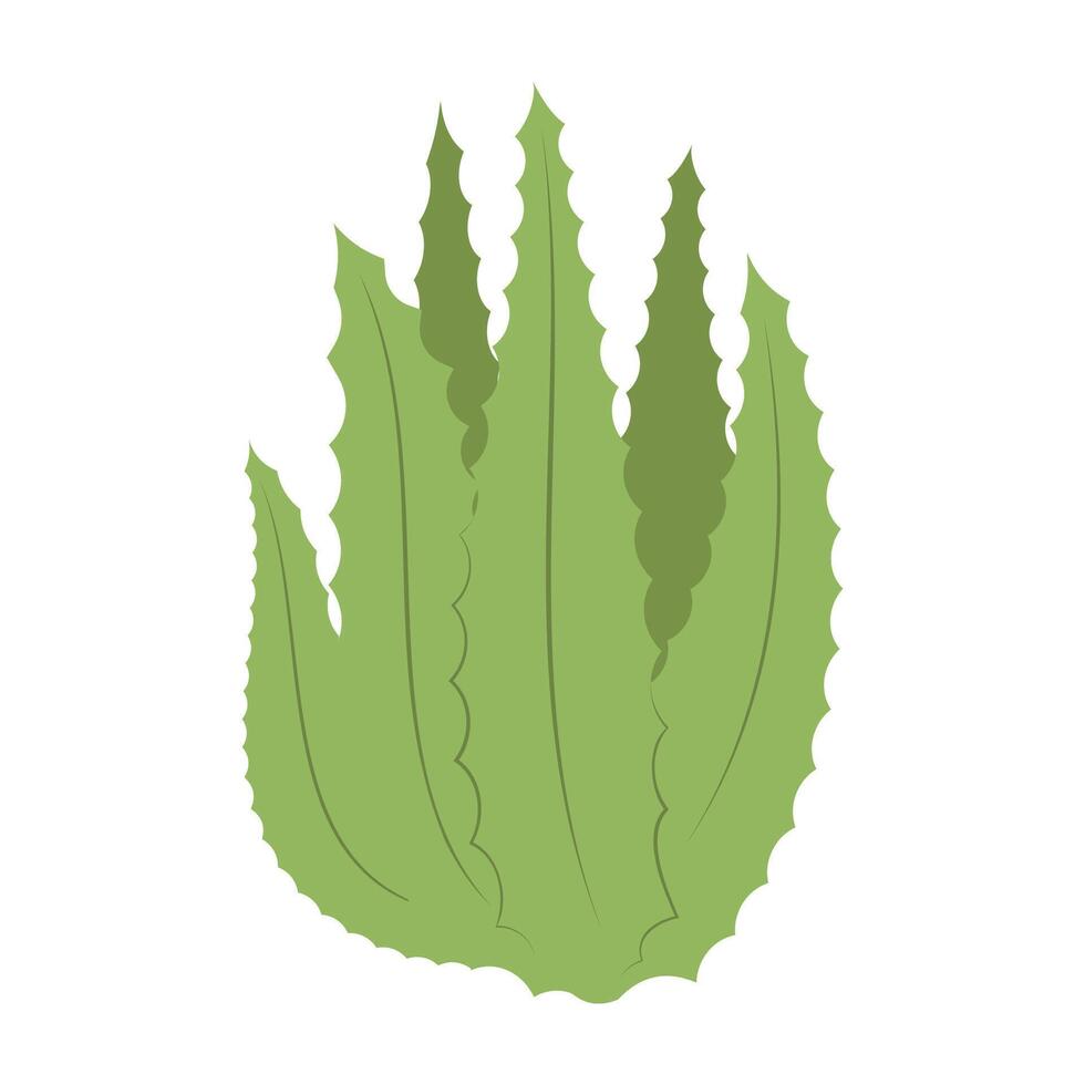 Cartoon cactus and succulent plants with flowers and smooth shapes. Flat Illustration vector
