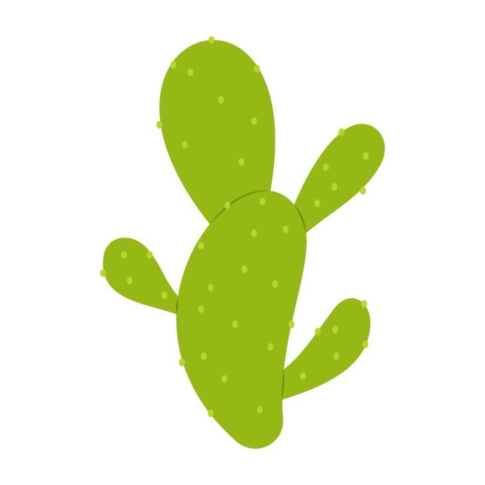 Simple cartoon cactus and succulent plants with flowers and smooth shapes. Flat Illustration vector