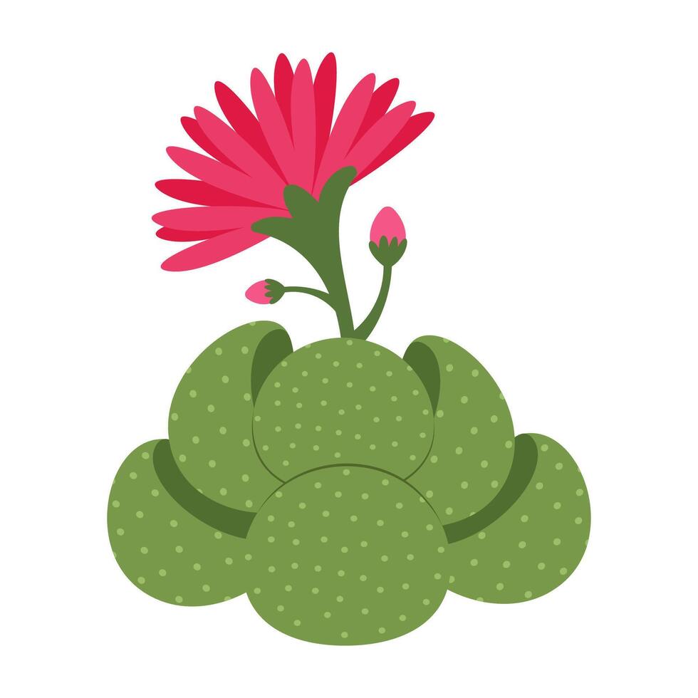 Colorful cactus and succulent collection with flowers and unique shapes vector