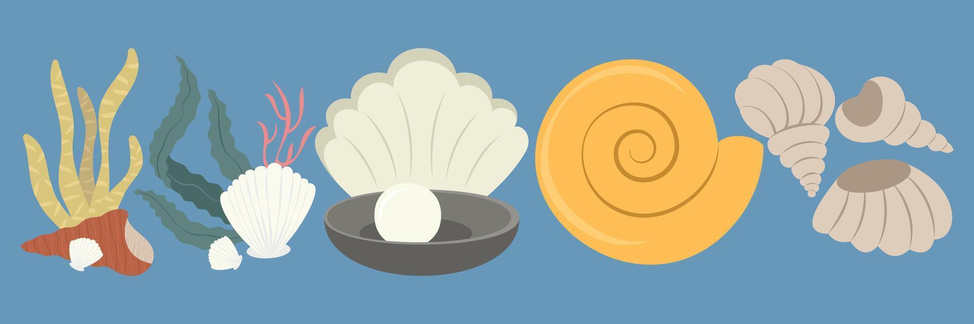 Colorful underwater plants, corals, shells, and sea life elements. vector