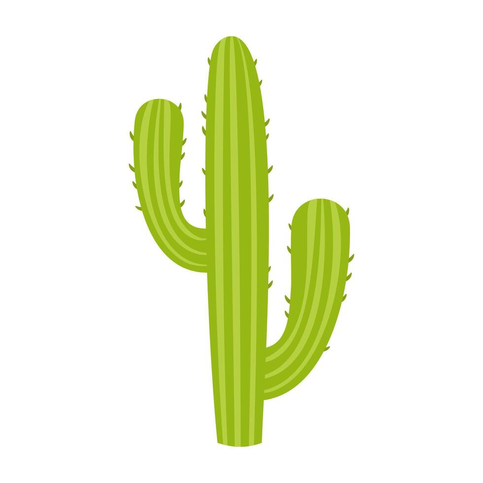 Simple cartoon cactus and succulent plants with flower and smooth shape. Flat Illustration vector