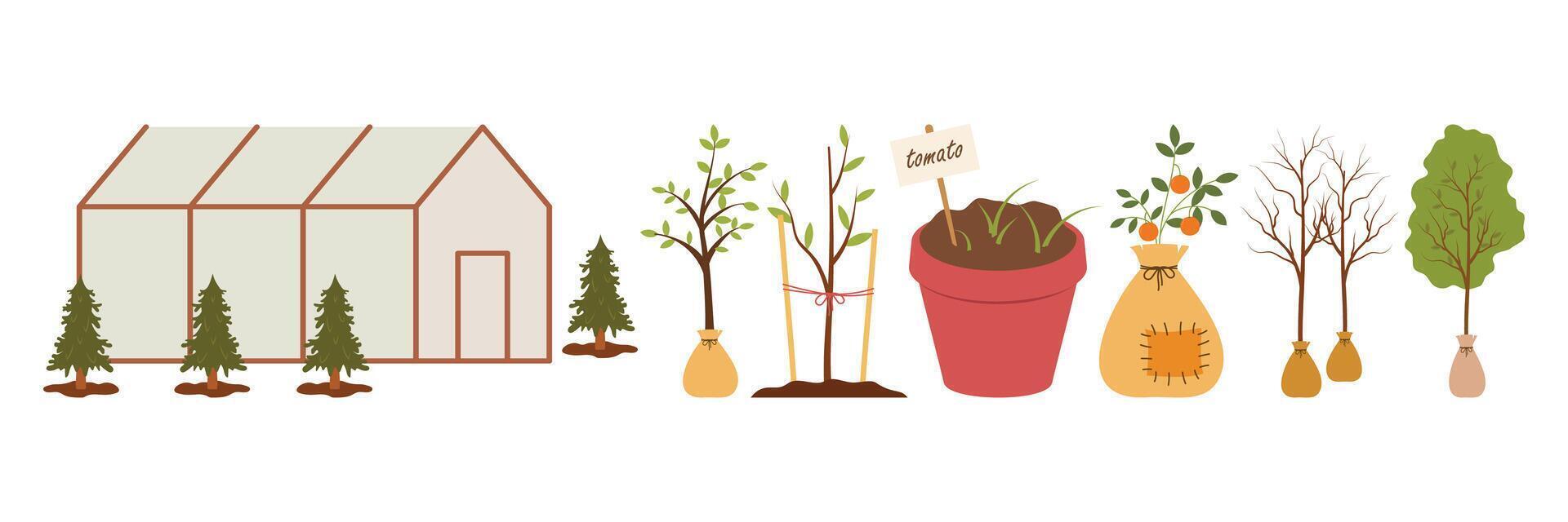 Colorful gardening elements including tools, plants, fences, decorations. vector