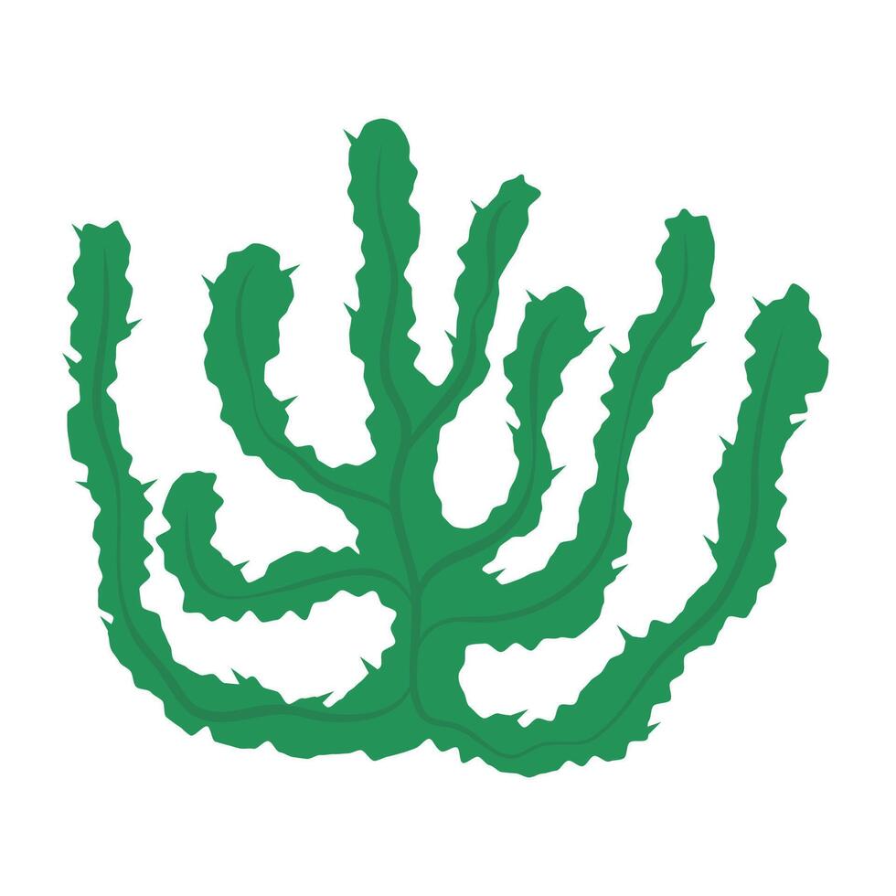 Colorful cactus succulent collection with flowers and unique shapes. vector
