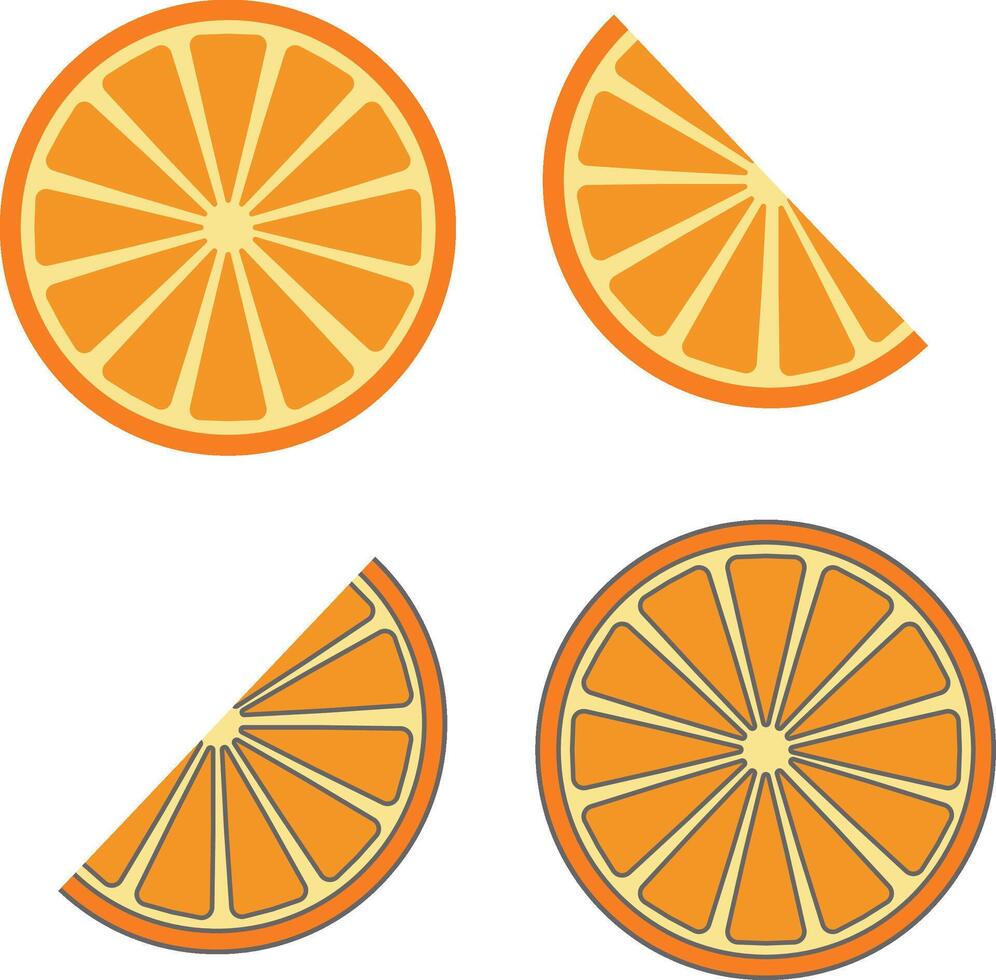set of fresh orange fruit round slices and half slice isolated on white background, design element vector