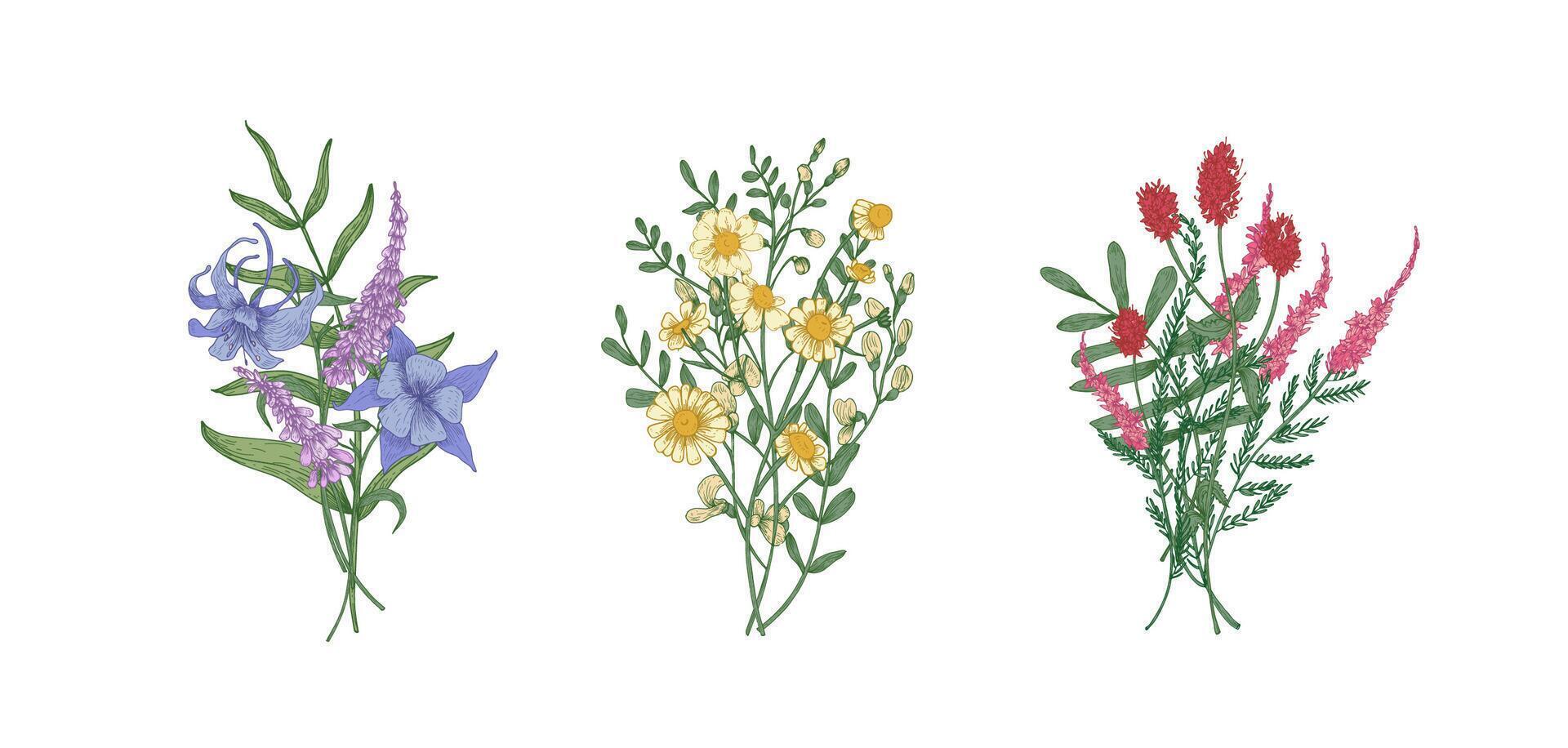Bundle of bouquets of gorgeous meadow flowers and herbaceous plants. Set of bunches of blooming herbs isolated on white background. Romantic floral hand drawn illustration in realistic style vector