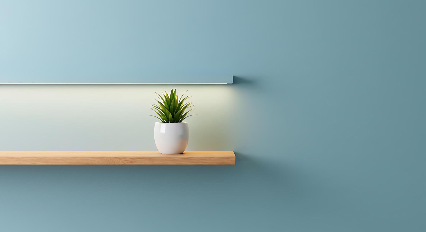 A potted plant sits on a shelf in front of a blue wall photo