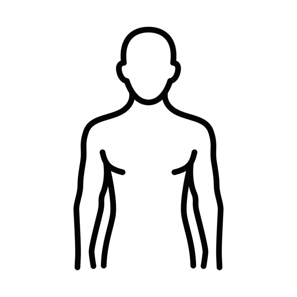 A man's torso is shown in a line drawing vector