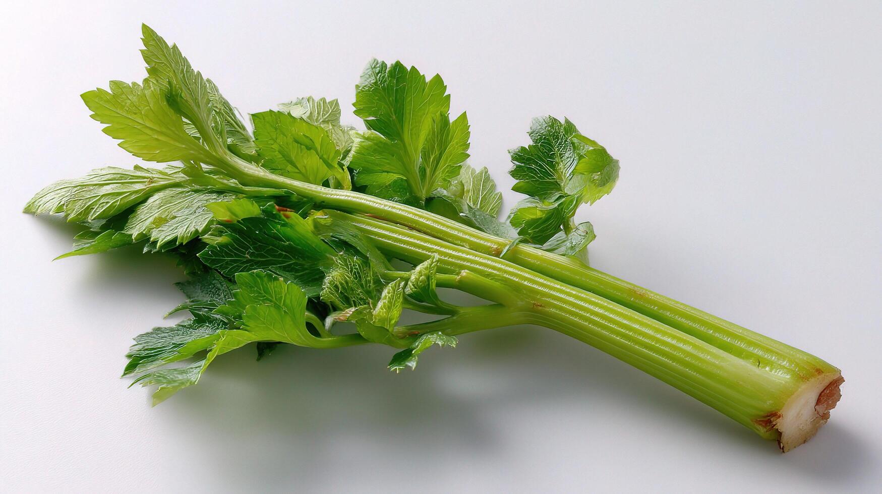 A celery stalk on a white surface photo