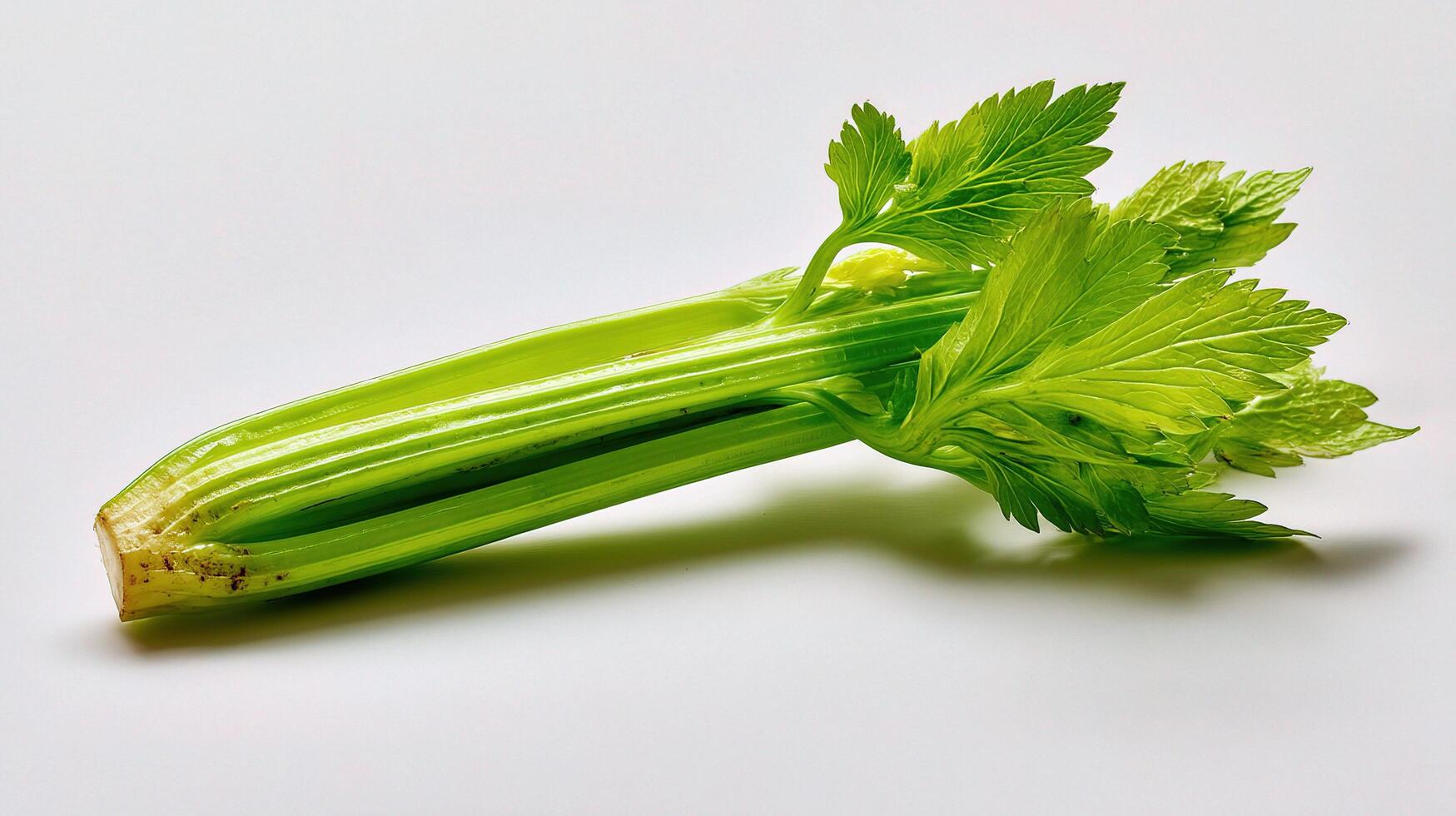 A celery stalk on a white background photo