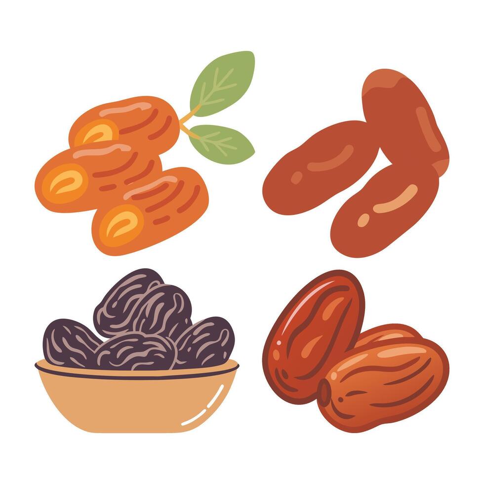 Sweet Dates Fruits vector