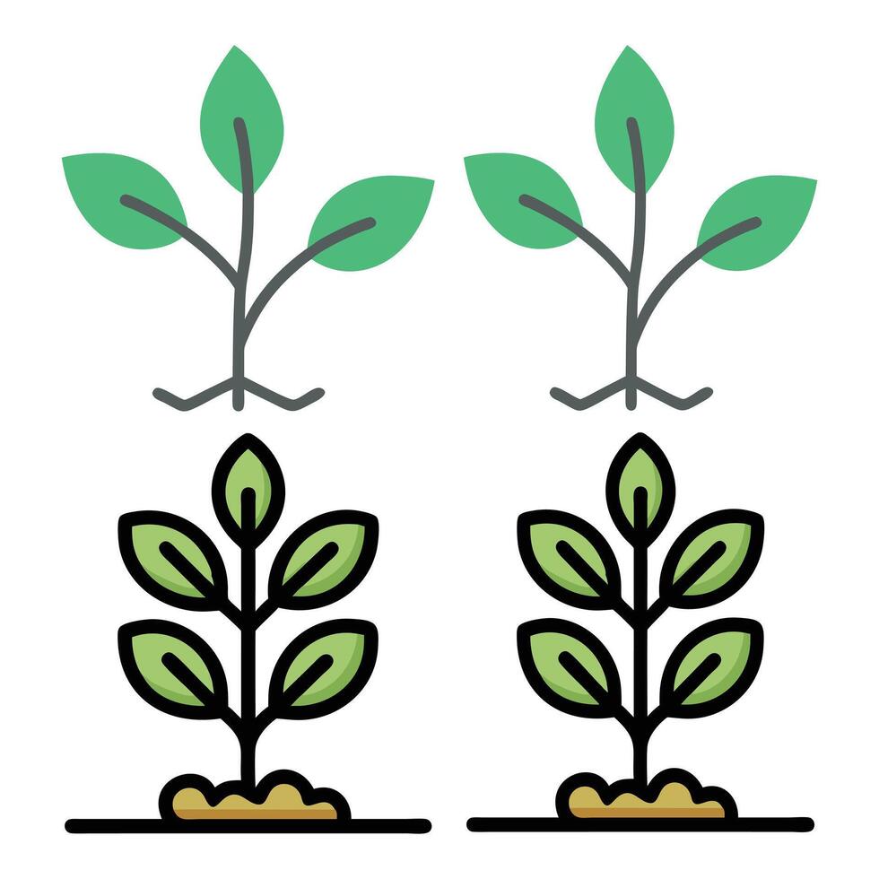 Young green plant tree with green leaves vector