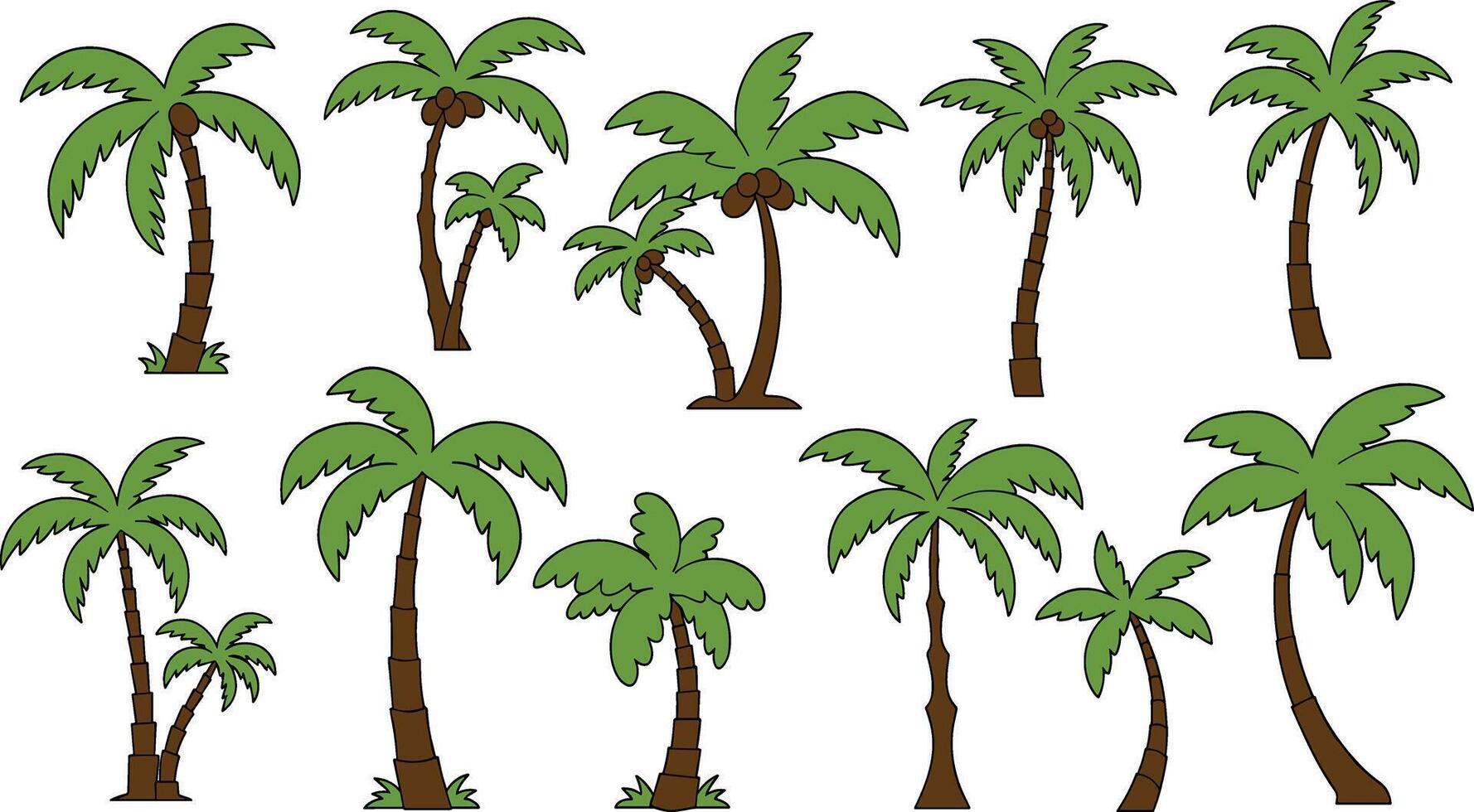 Palm trees. Cartoon tropical tree with different exotic green leaves vector
