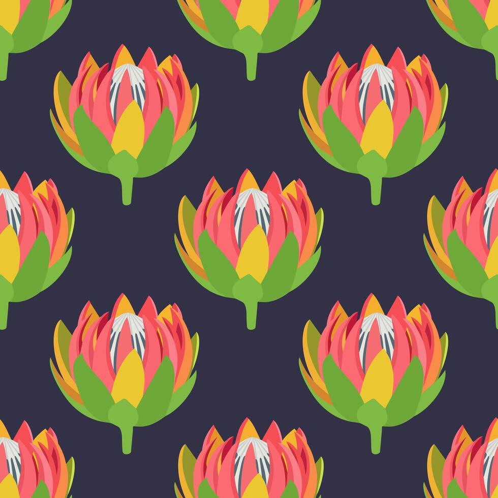 seamless pattern with protea flowers on dark blue background vector