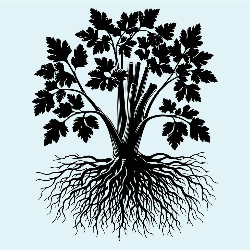 Celery leaf and stem black silhouette for minimal art vector