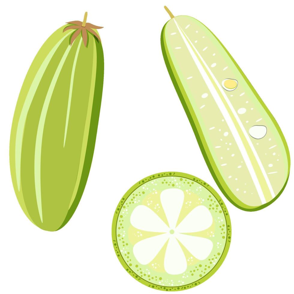 Bilimbi tropical exotic Jamaican fruit set vector