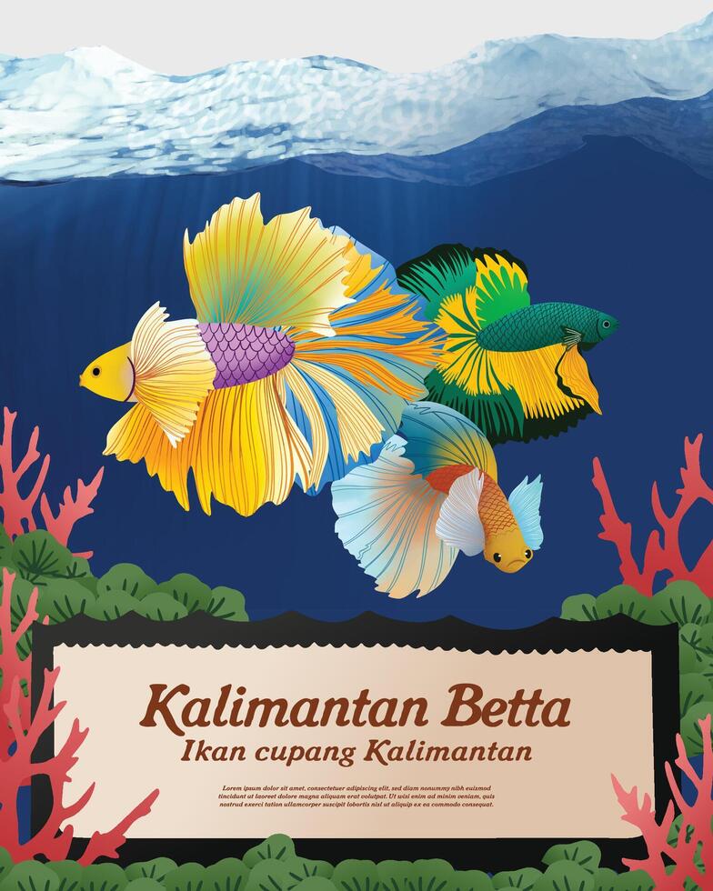 A poster with two fish on it and a sign that says kalimantan betta vector