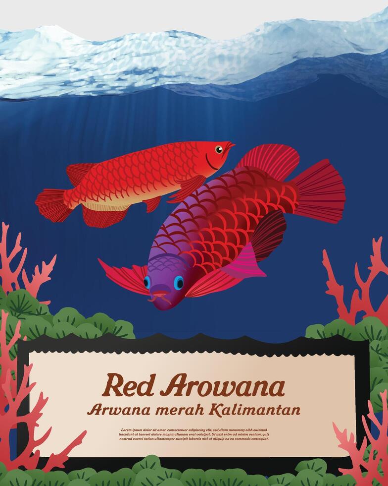 Red arowana fish in the ocean with a sign that says red arowana vector