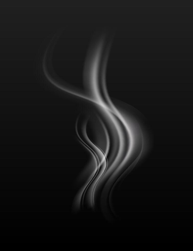 Abstract Smoke Effect to Enhance Visual Design and Media Applications vector