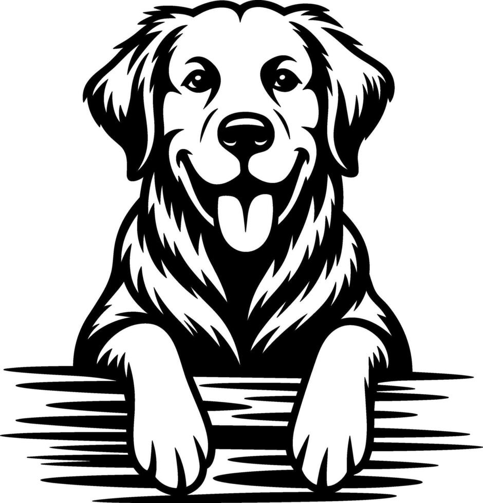 Golden Retriever Head and Paws Illustration vector