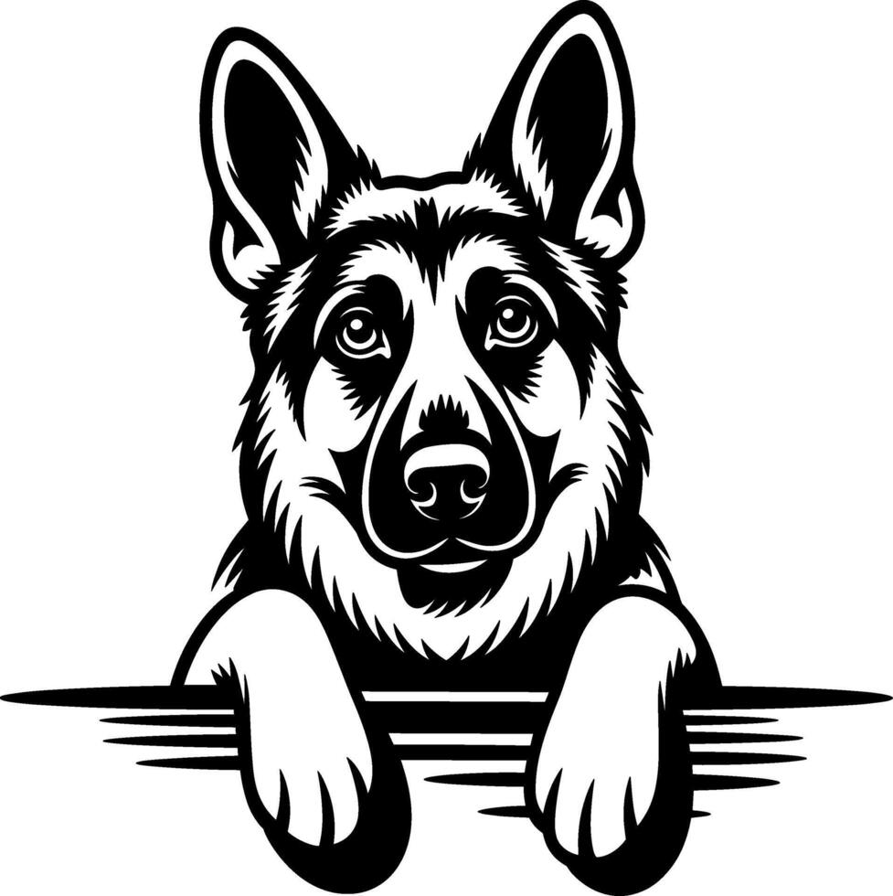 German Shepherd Head and Paws Illustration vector