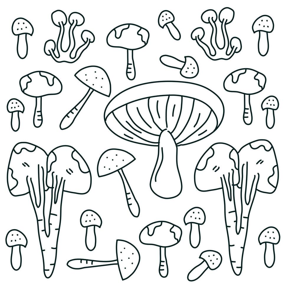Fun mushroom illustration with caps and stems in doodle style vector