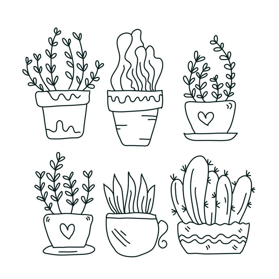 Line Drawing of Potted Plants and Succulents vector