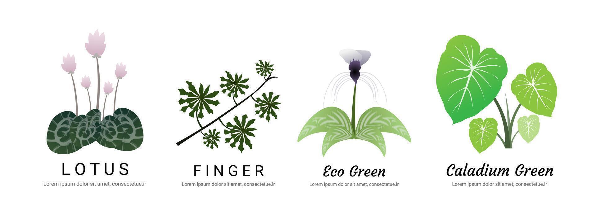 Artistic Leaf Logo Set with Elegant Botanical Details vector