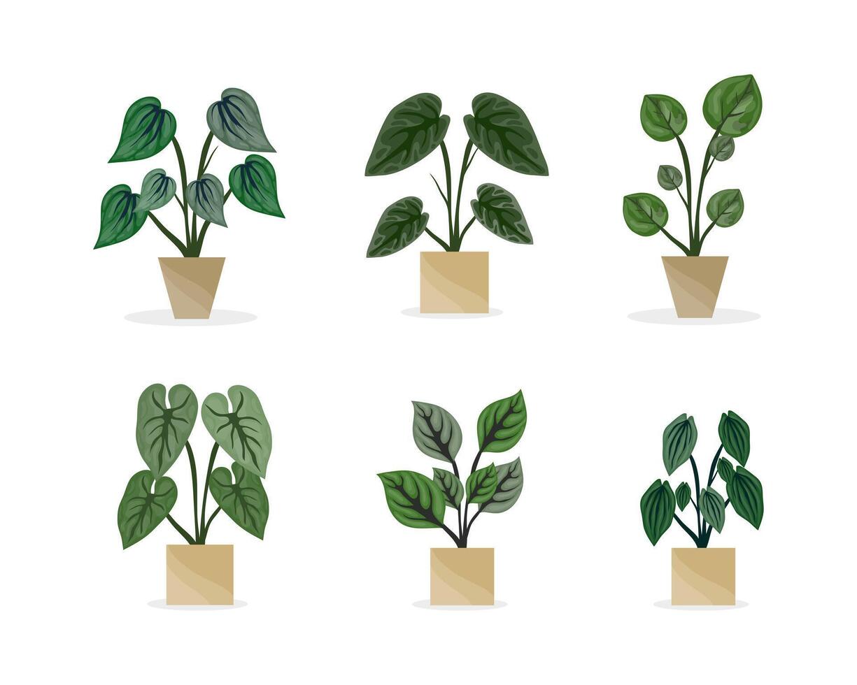 Potted Green Plants Collection Simple Natural Decor vector