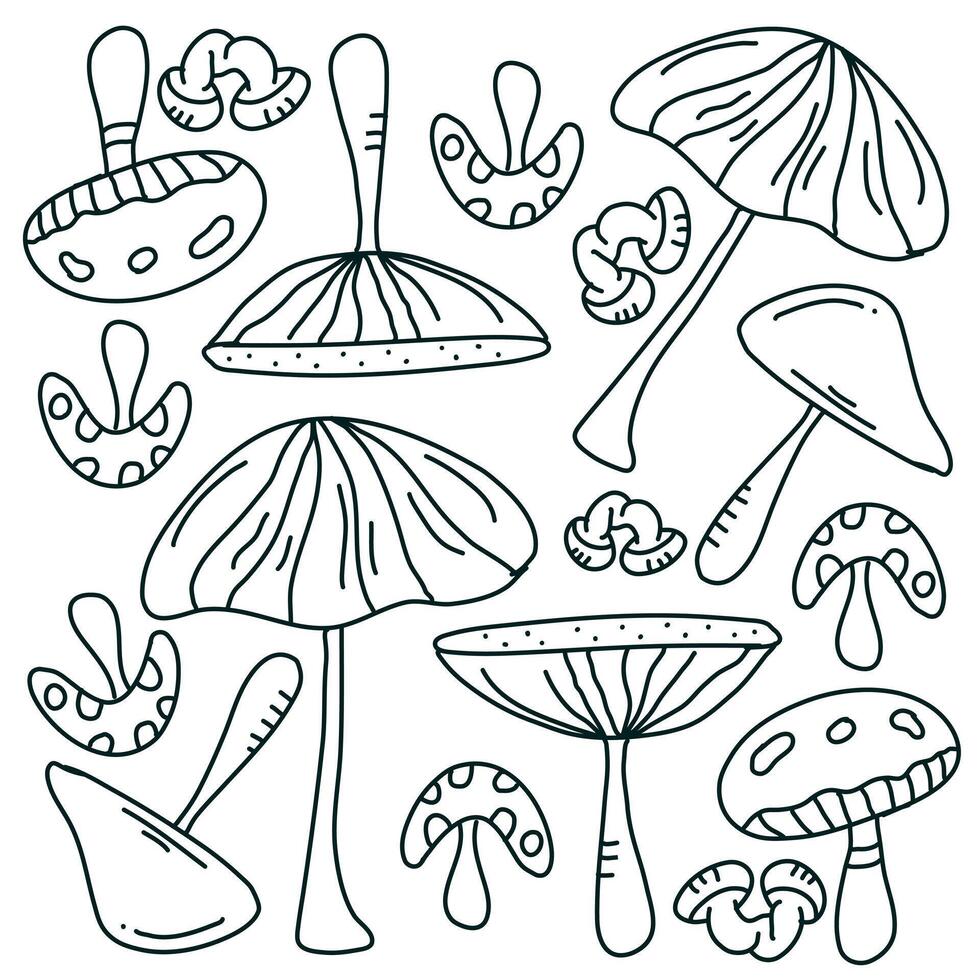 A detailed design featuring a variety of mushrooms vector