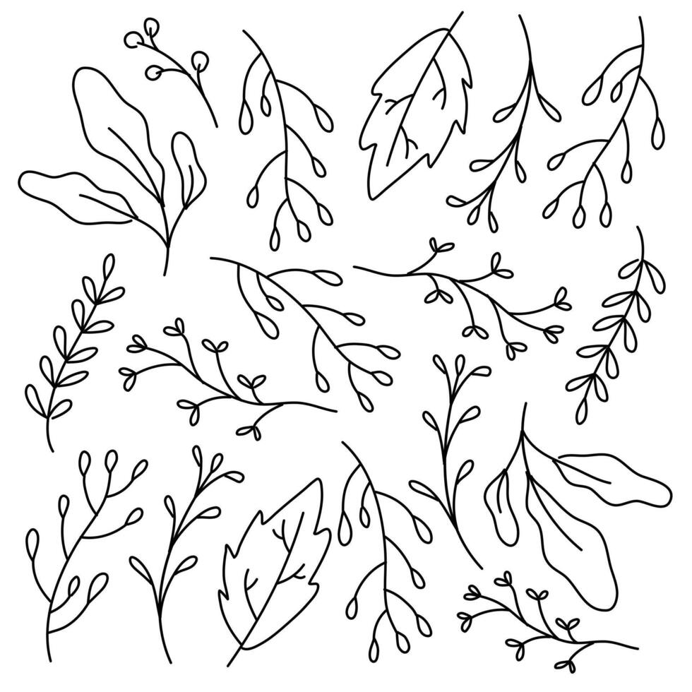 Minimal Hand-Drawn Plant and Leaf Collection vector