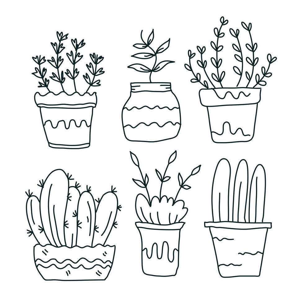 Doodle Set of Potted Plants and Cactus Designs vector