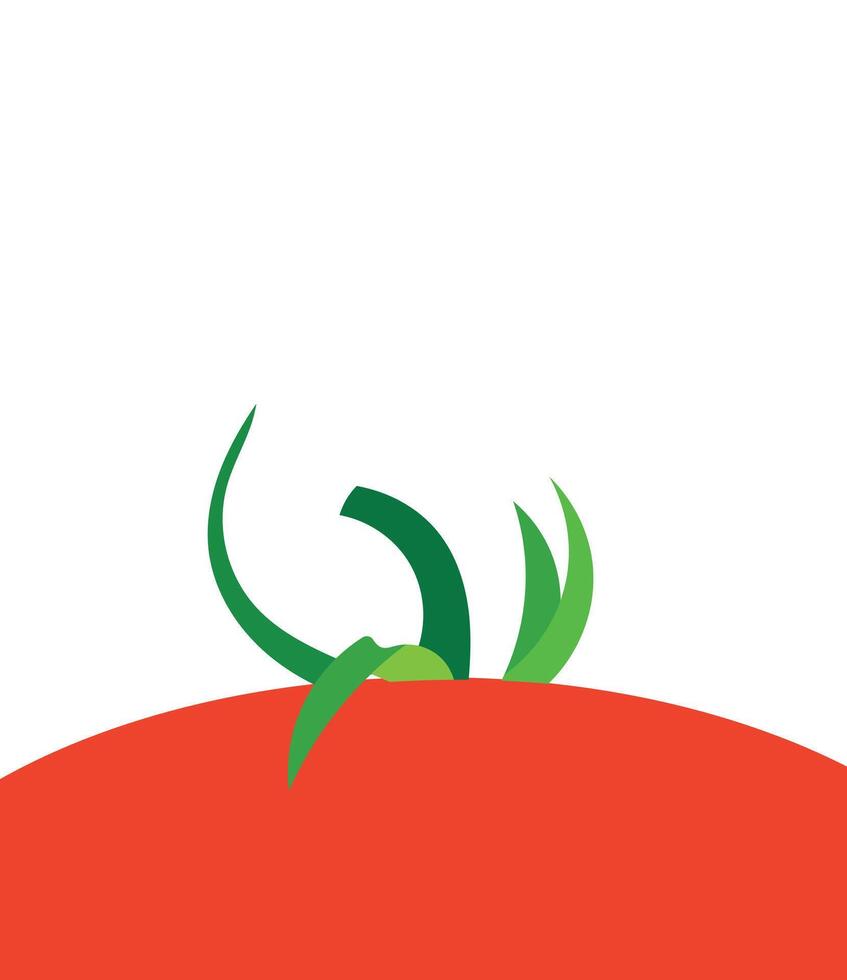 Background tomato unique design abstract vector