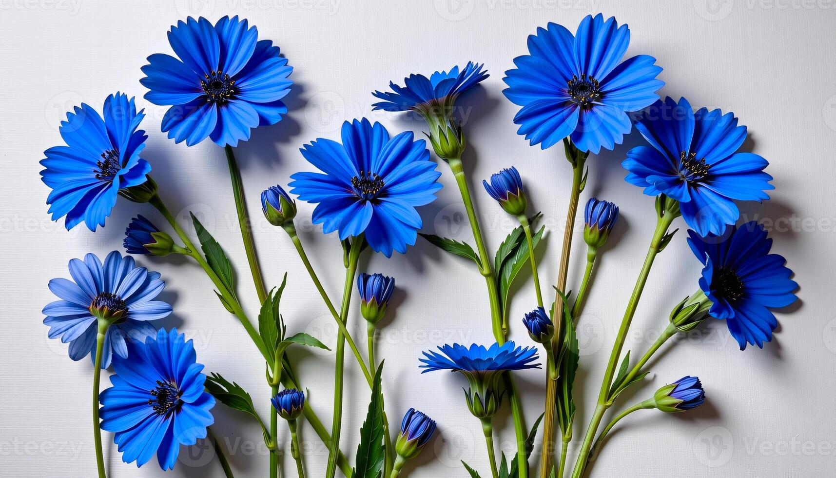 bold flat lay of cornflower on a canvas texture, with soft cobalt tones, natural lighting intensity photo