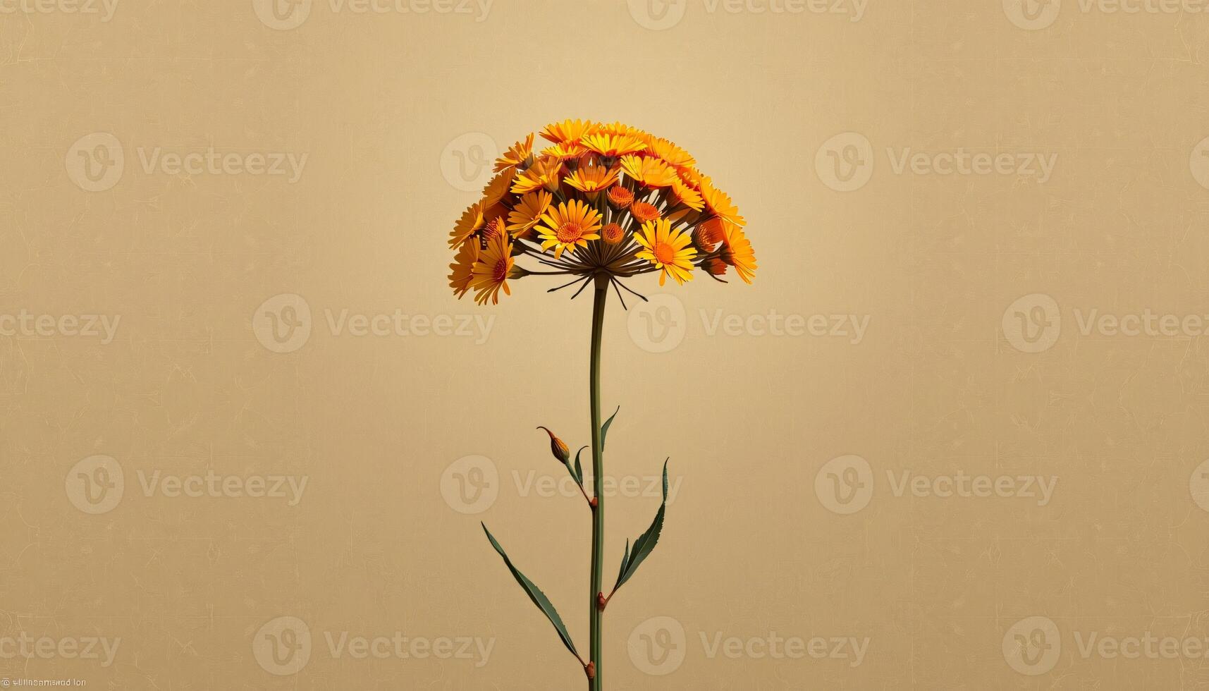 graceful stem of yarrow in a minimalist style, with muted ochre palette, flowing lines photo